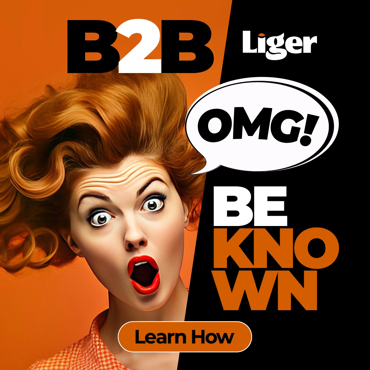 Liger_Digital Ads_Liger B2B-OMG B2B BeKnown