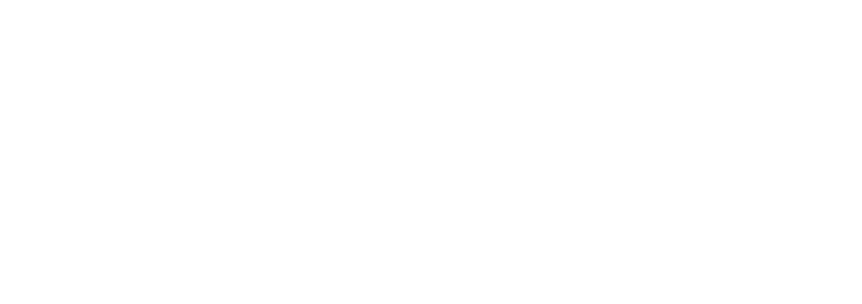 Minico logo
