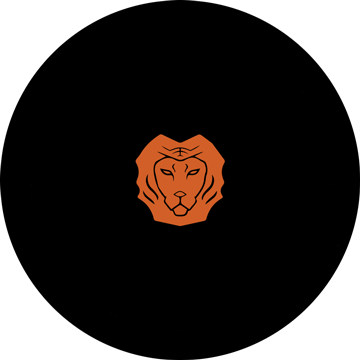 focus_AdobeStock_470569161